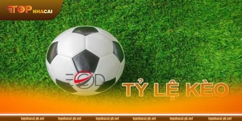 Áp dụng kinh nghiệm thực tế sẽ giúp bạn tối ưu lợi nhuận.