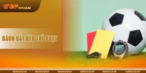 Cập Nhật 04 Cách Bắt Kèo Thẻ Phạt Cao Thủ Soi Kèo Tâm Đắc