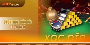 Cách Chơi Xóc Đĩa Cơm Gạo: Luật Cược, Mẹo Chơi Dễ Thắng