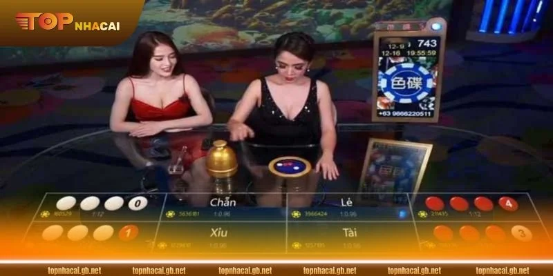 Gợi ý cách chơi xóc đĩa cơm gạo chuẩn giáo án cao thủ.