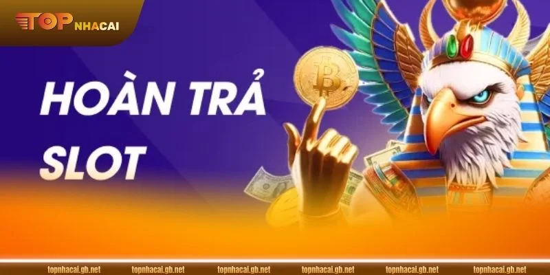 So sánh BIN88 và XIN88 về ưu đãi khác biệt giữa từng cổng cược.