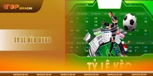 Tỷ Lệ Kèo DV88: Sàn Cá Độ Sôi Động Với Kèo Chơi Bạc Tỷ